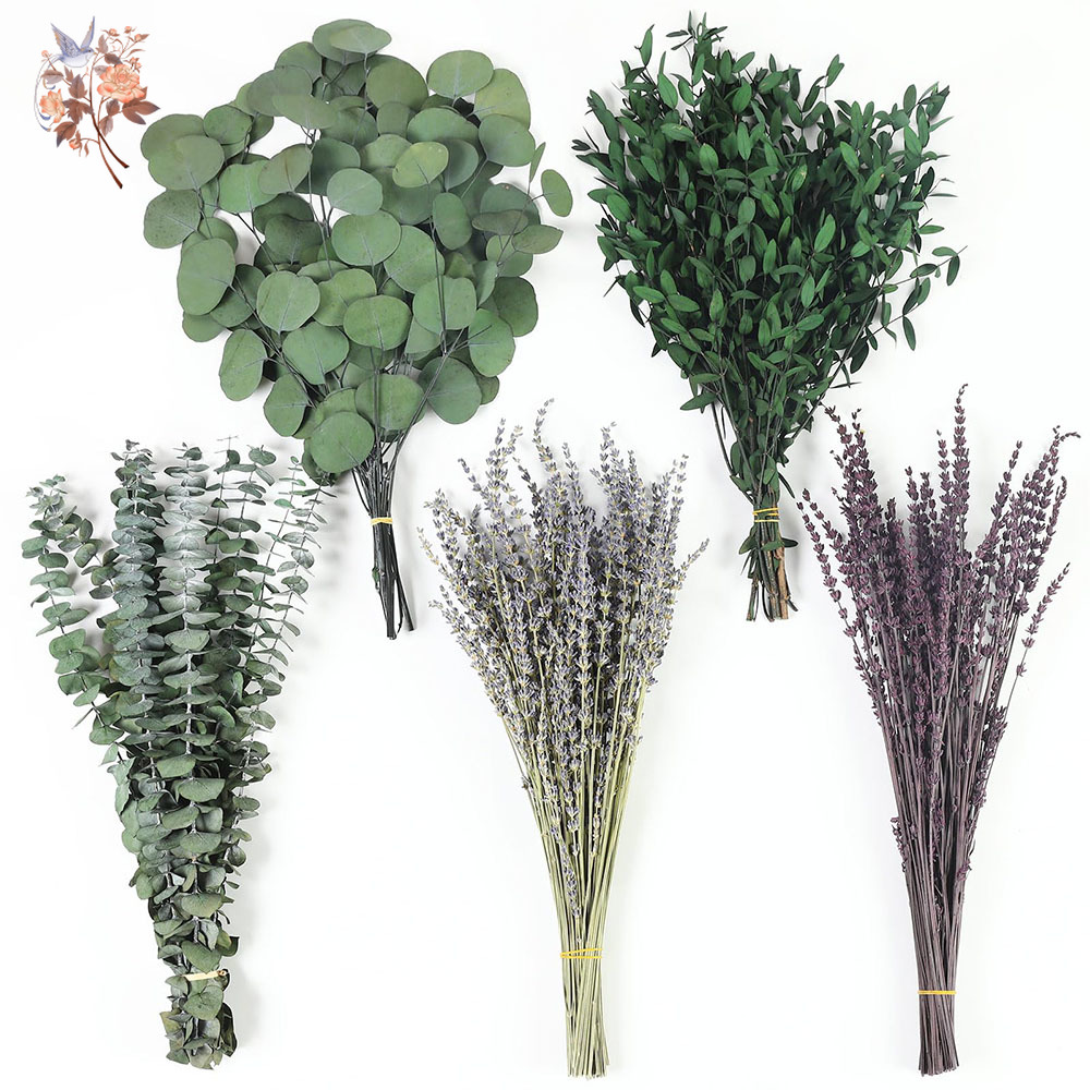 Fragrance Your Home - 110 szt. Mieszanka Suszonych Liści Eukaliptusa