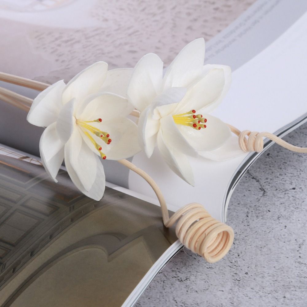 Home Fragrance Natural - Wielofunkcyjne, naturalne, ręcznie robione, zapachowe patyczki